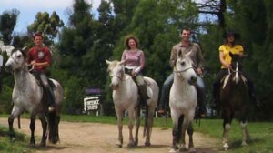 horse-riding-southern-comfort