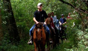 horse riding near plettenberg bay horse riding near plettenberg bay
